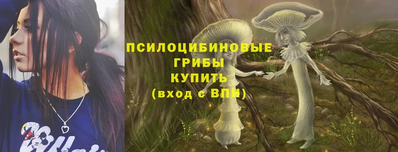 OMG ONION  Борзя  Псилоцибиновые грибы Psilocybe 